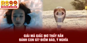 Giải Mã Bí Ẩn Giấc Mơ Thấy Rắn Đánh Con Gì? Điềm Báo Ý Nghĩa