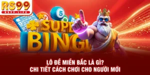 Lô Đề Miền Bắc Là Gì? Chi Tiết Cách Chơi Cho Người Mới