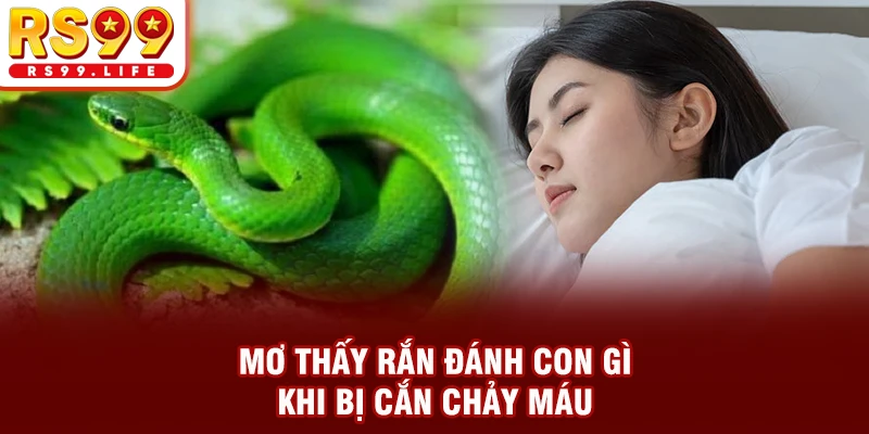 Mơ thấy rắn đánh con gì khi bị chúng cắn chảy máu
